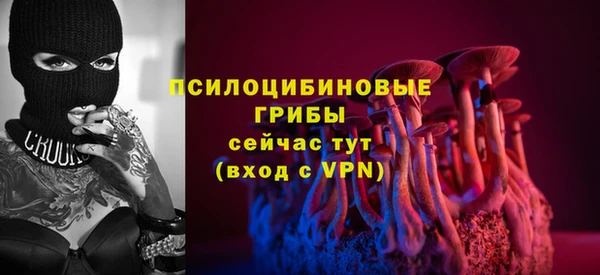 ешки Абаза