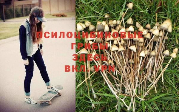 ешки Абаза