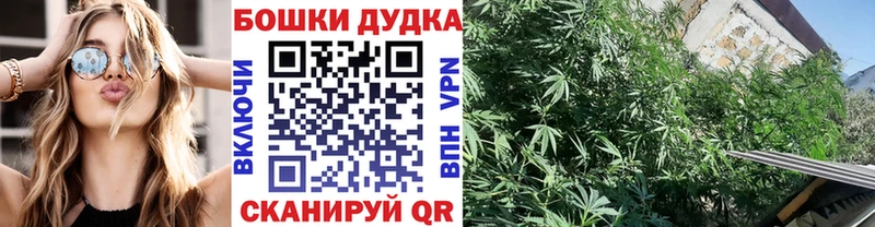 Марихуана THC 21%  Шилка 